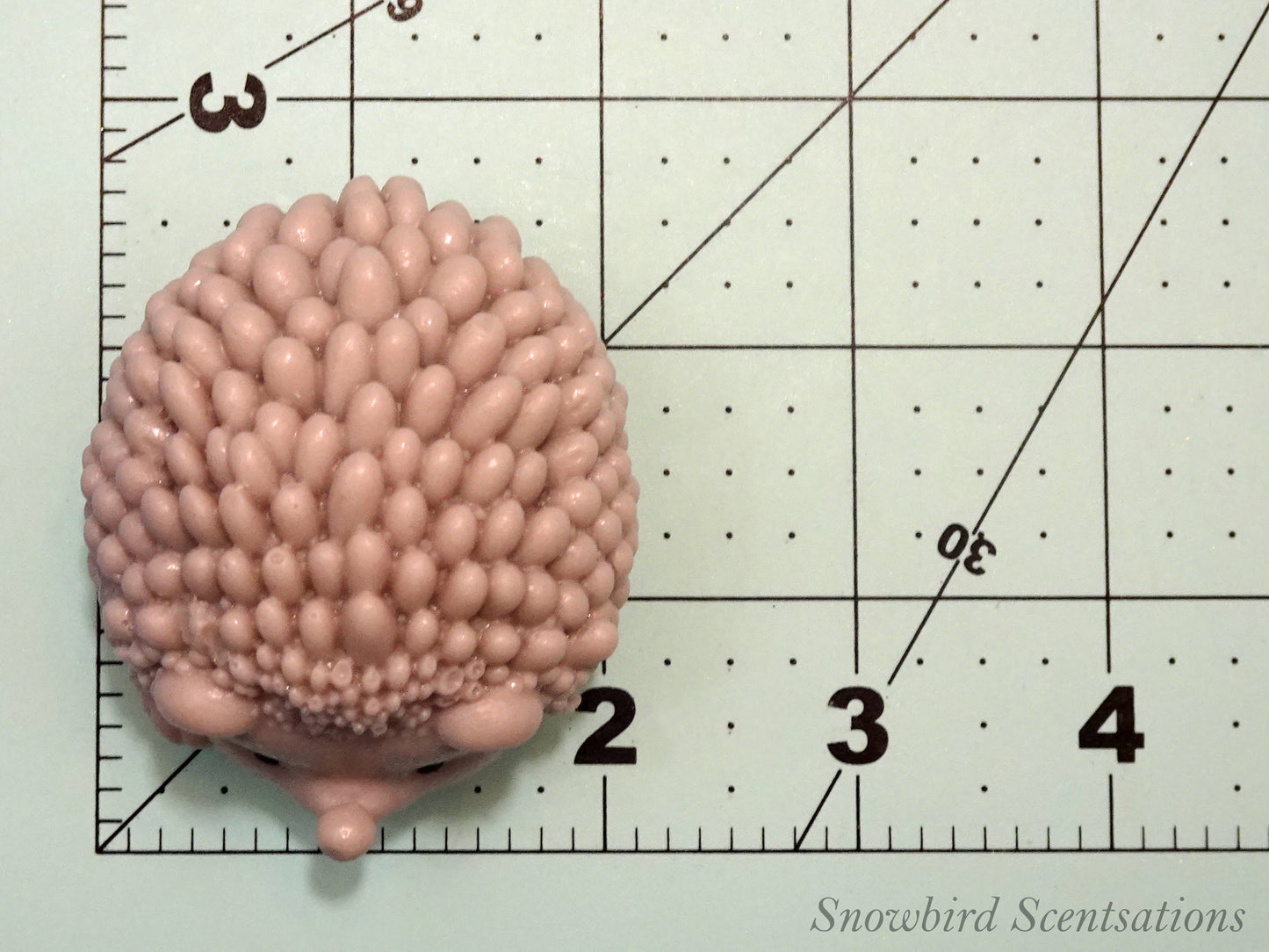 Hedgehog (Solid or Painted)