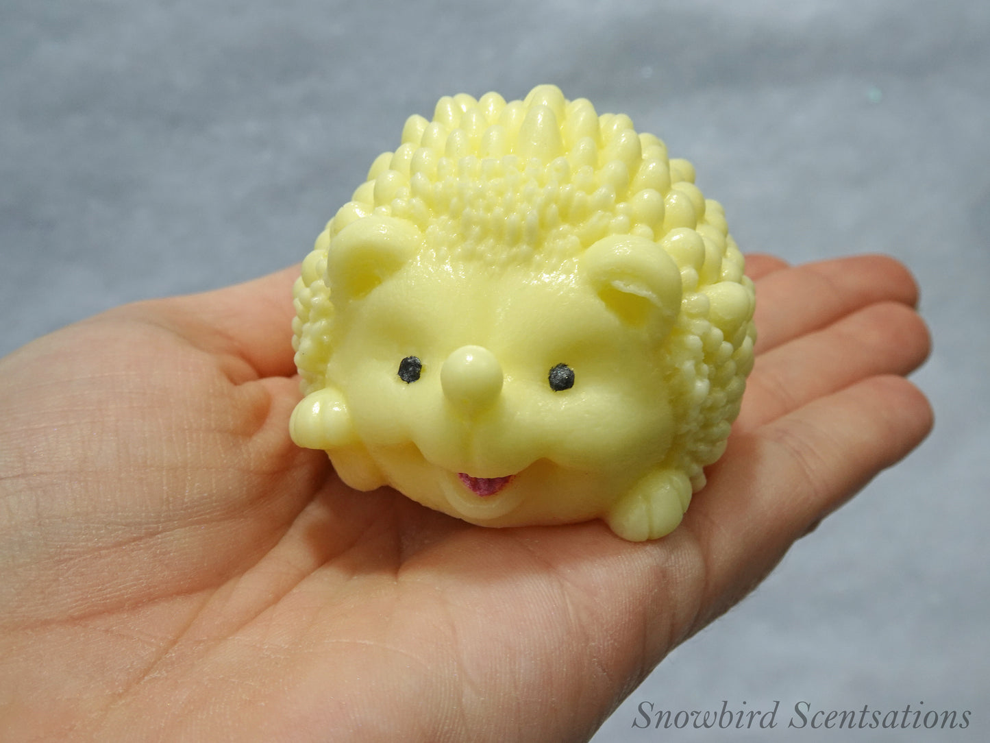 Hedgehog (Solid or Painted)