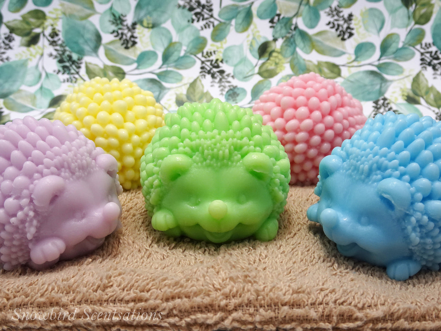 Hedgehog (Solid or Painted)