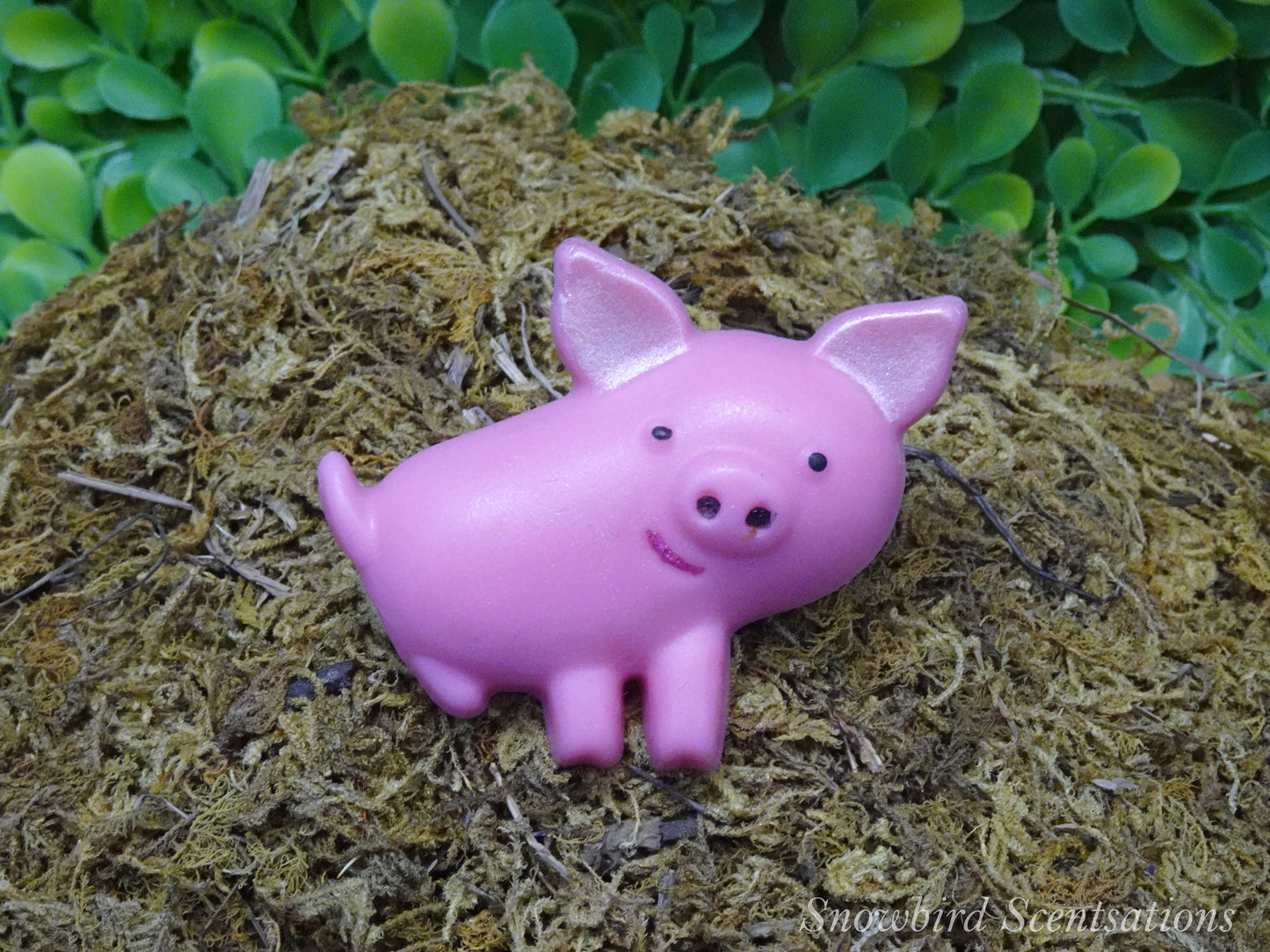 Farm: Pig (Solid or Painted)