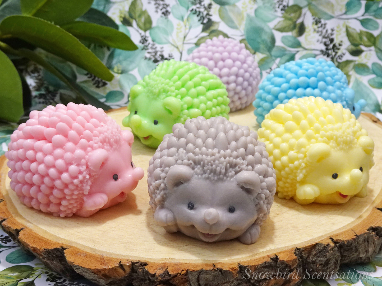 Hedgehog (Solid or Painted)