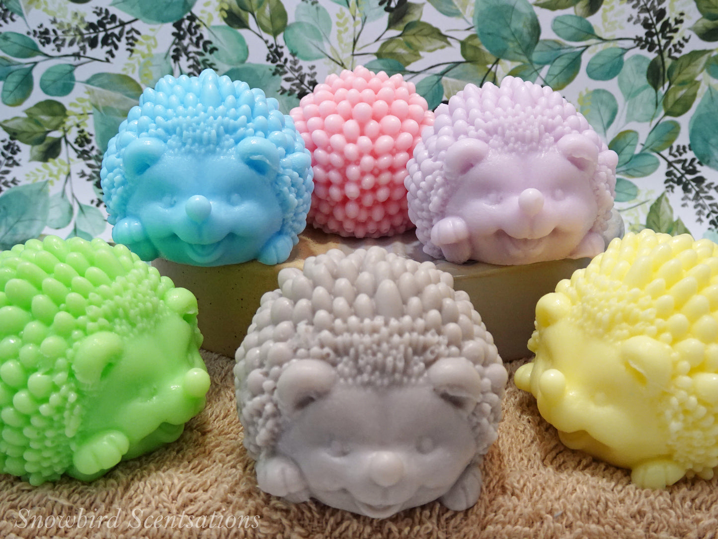 Hedgehog (Solid or Painted)