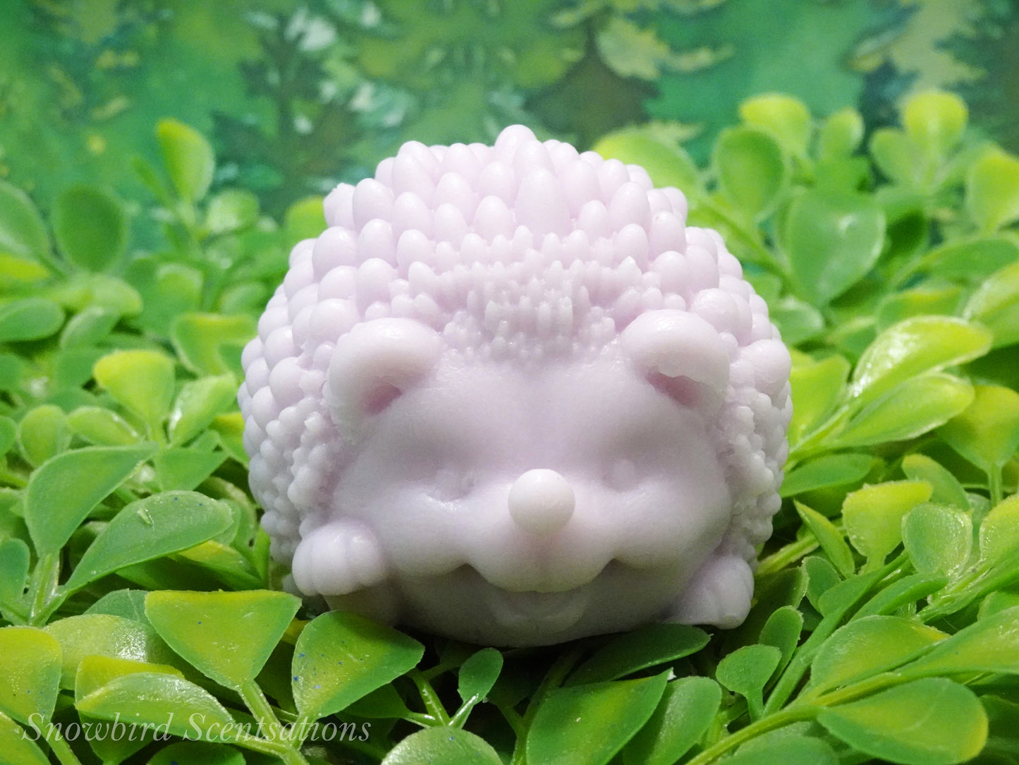 Hedgehog (Solid or Painted)