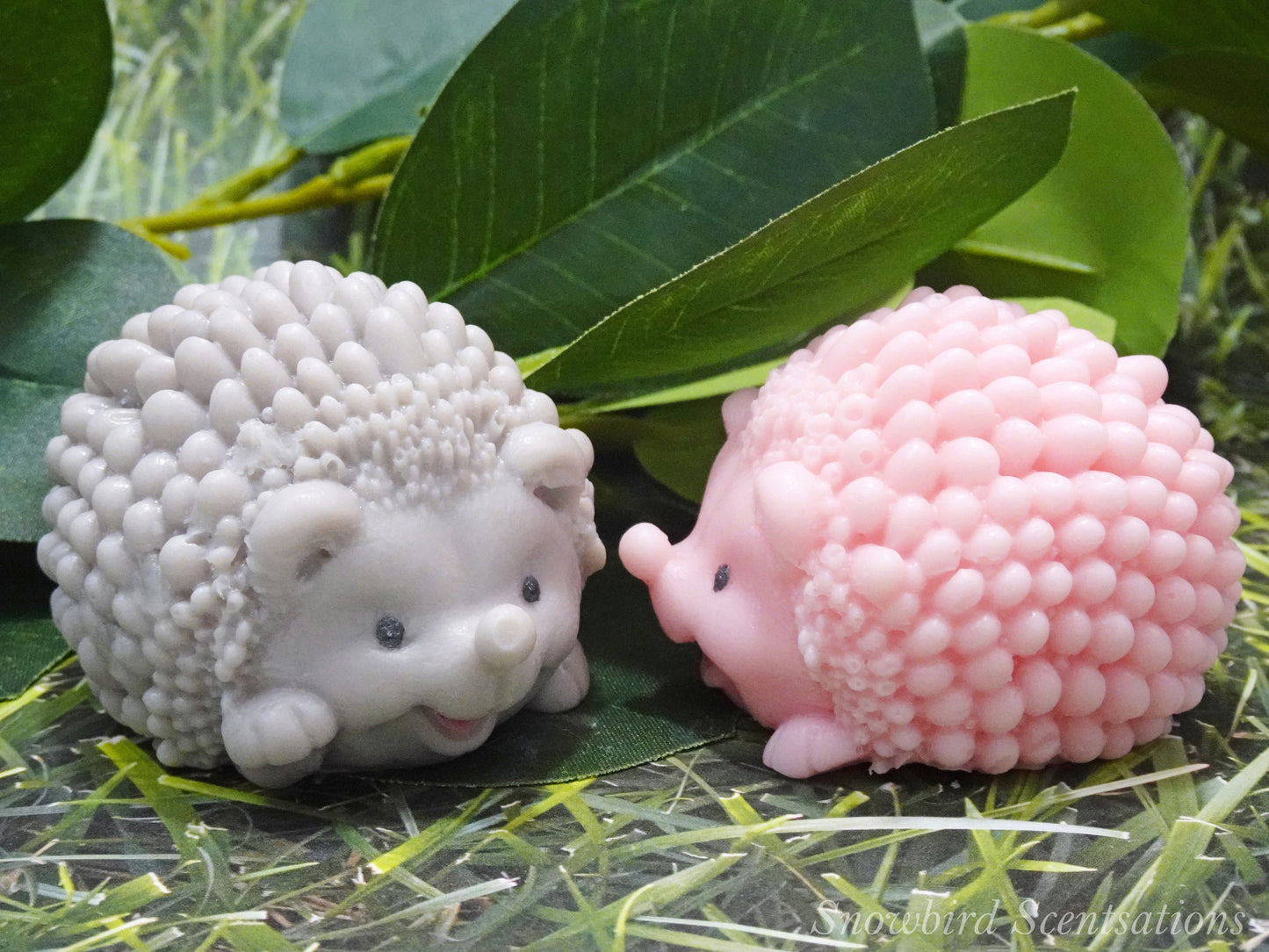 Hedgehog (Solid or Painted)