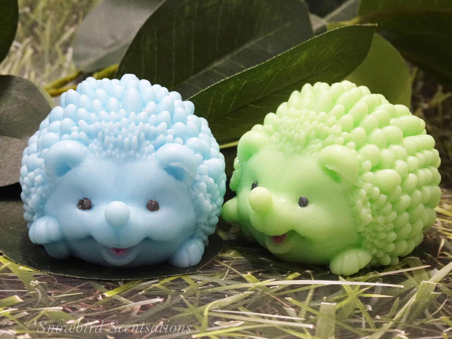 Hedgehog (Solid or Painted)