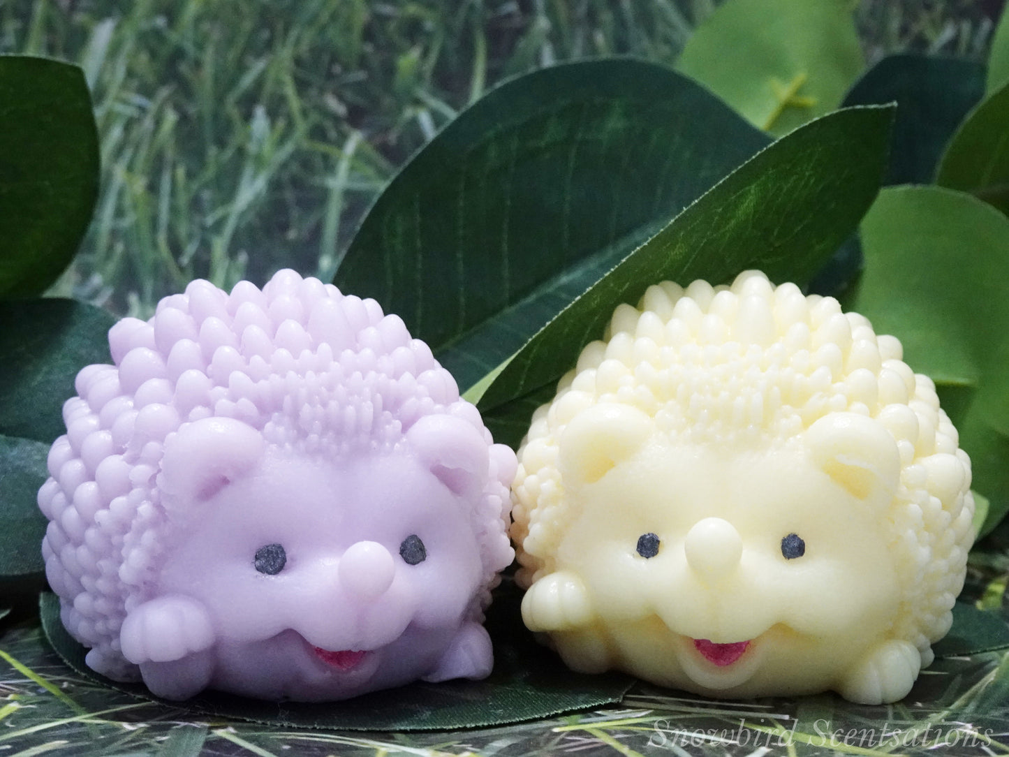 Hedgehog (Solid or Painted)