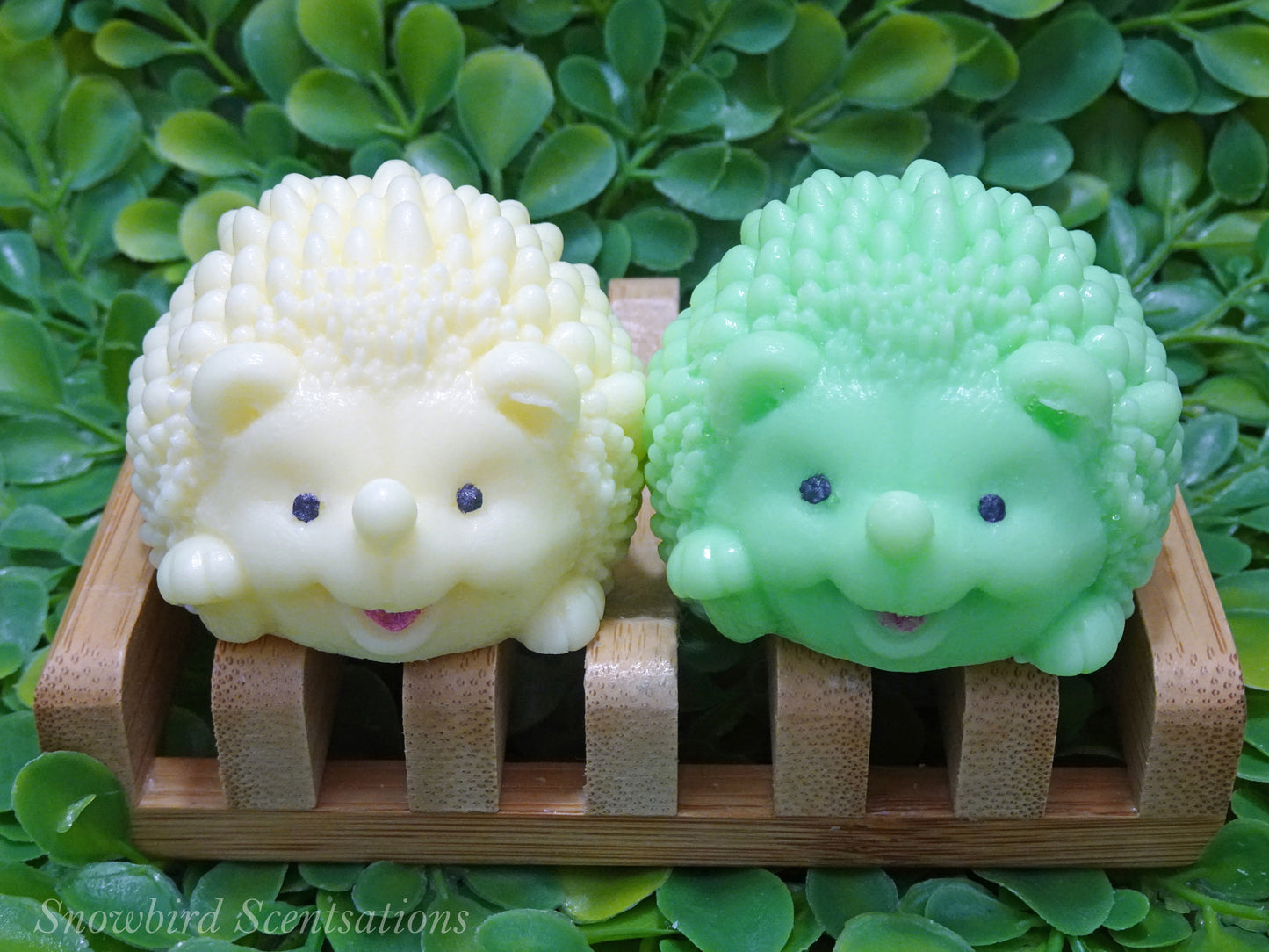 Hedgehog (Solid or Painted)