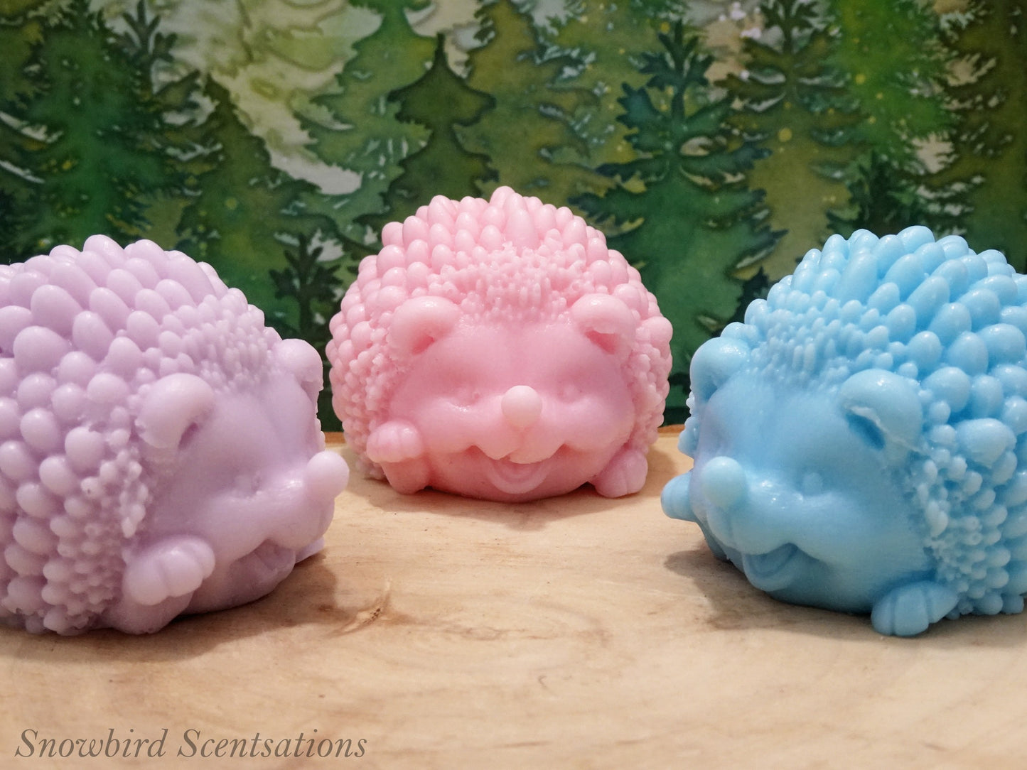 Hedgehog (Solid or Painted)