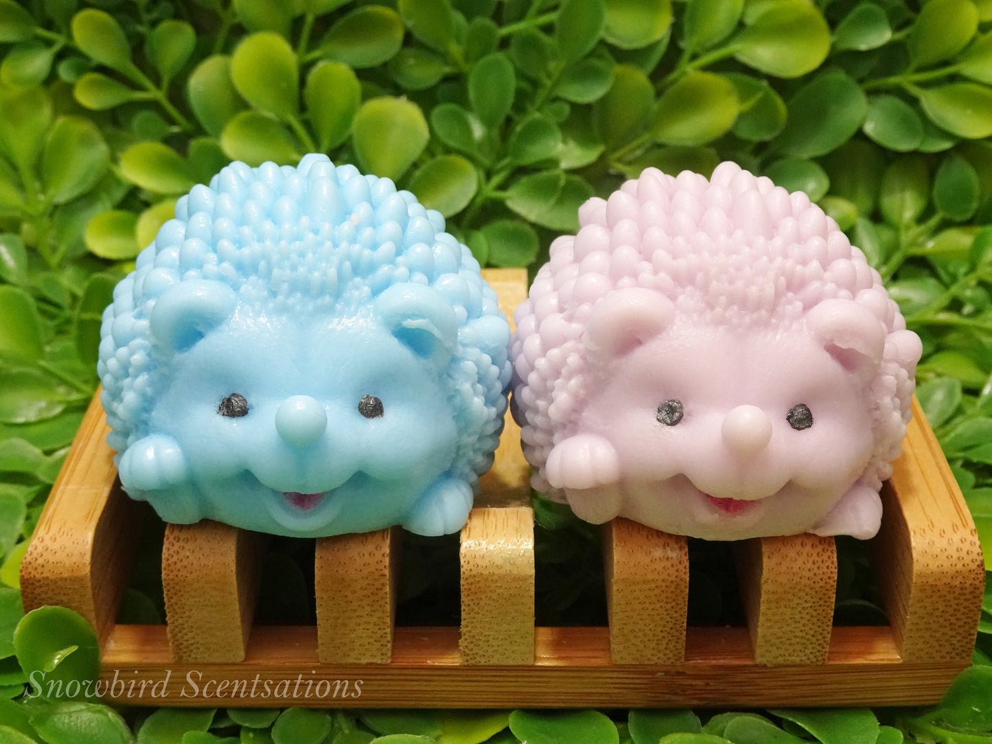 Hedgehog (Solid or Painted)