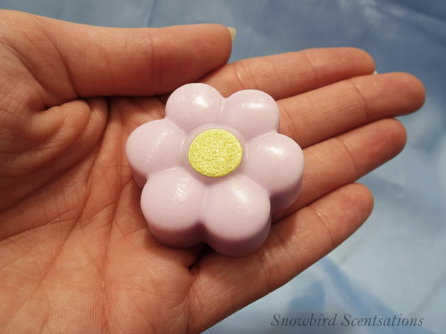 Daisy B (Painted or Solid)