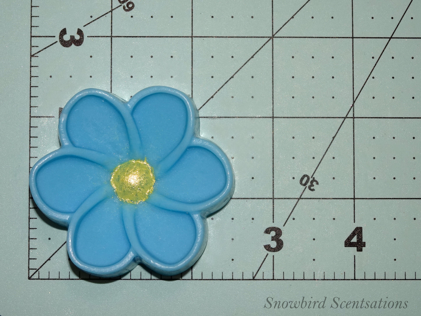Daisy C (Painted or Solid)