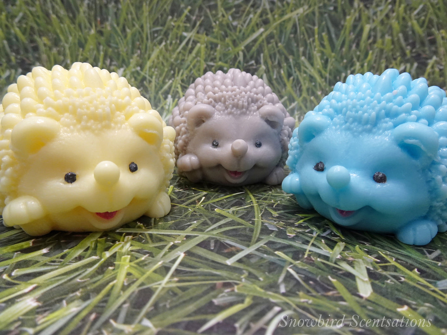 Hedgehog (Solid or Painted)