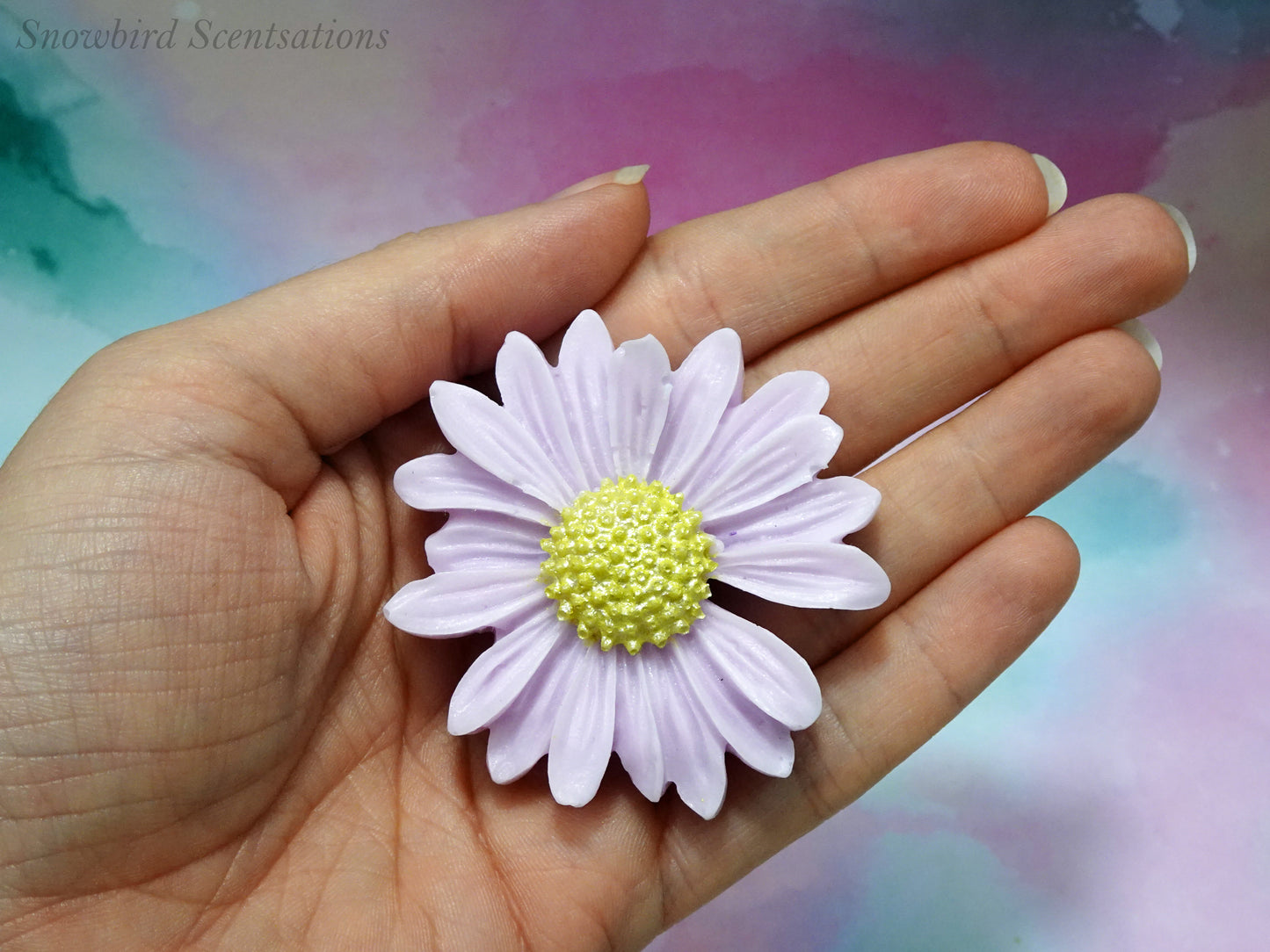 Daisy Flower (Solid or Painted)