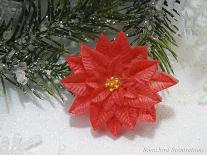 Christmas Poinsettia (Solid or Painted)