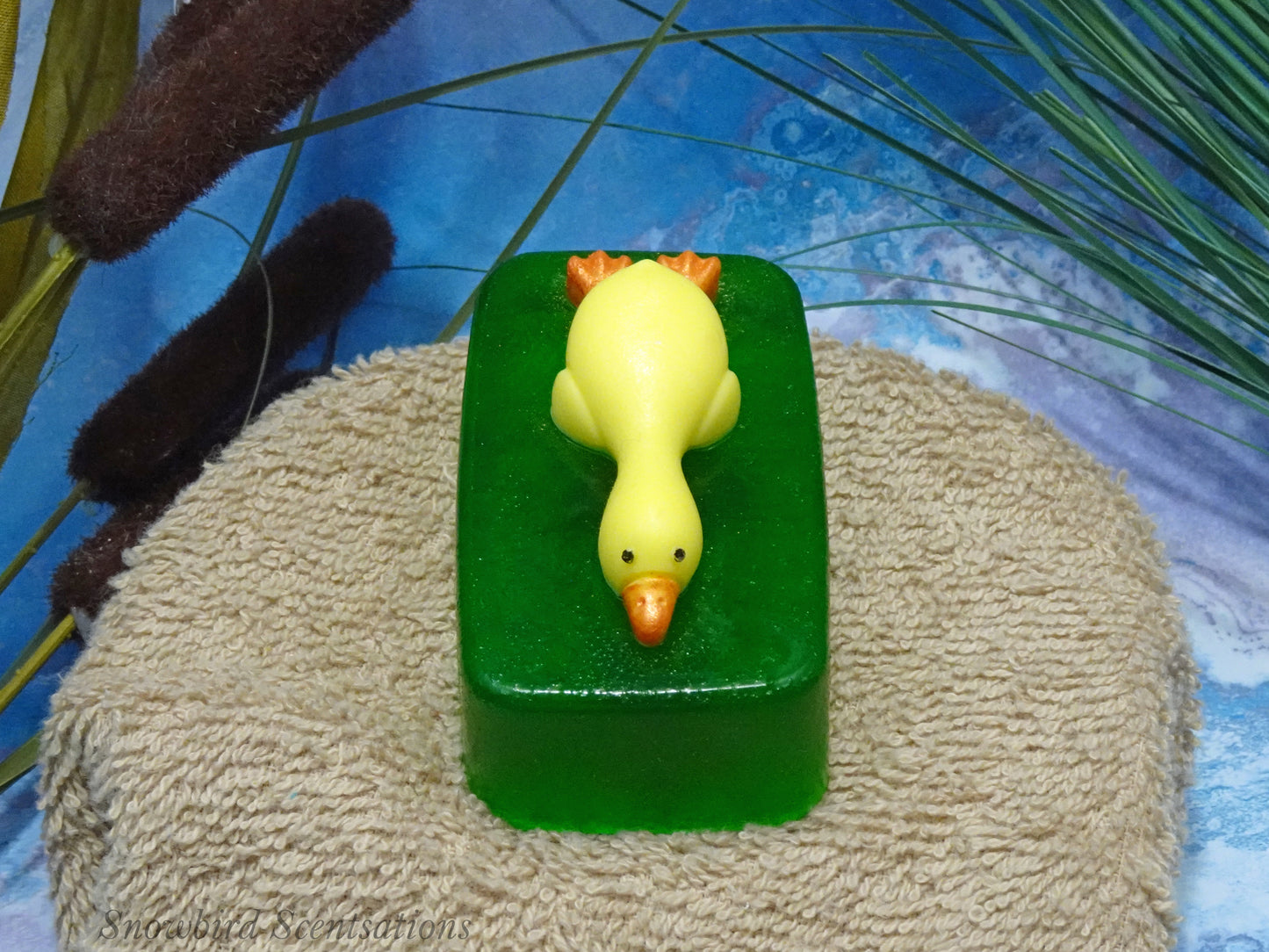 Lying Duck on Soap Bar