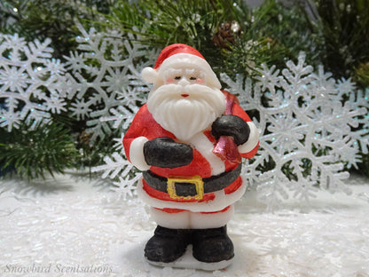 Santa with Bag on His Back (Solid or Painted)