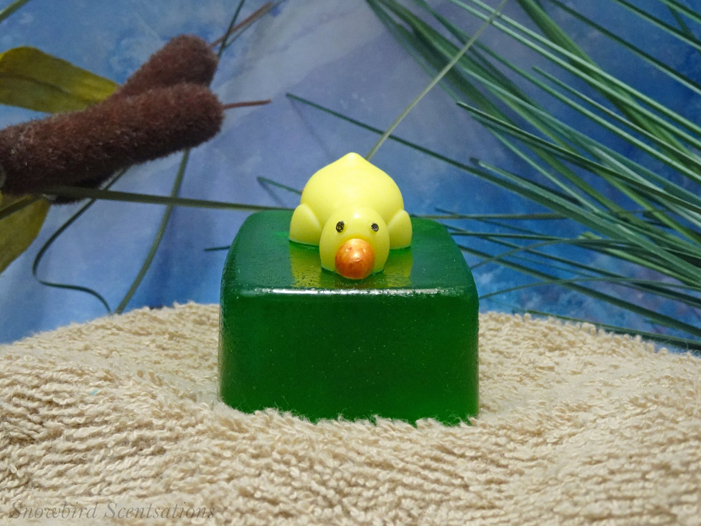 Lying Duck on Soap Bar