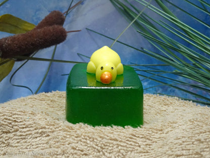 Lying Duck on Soap Bar