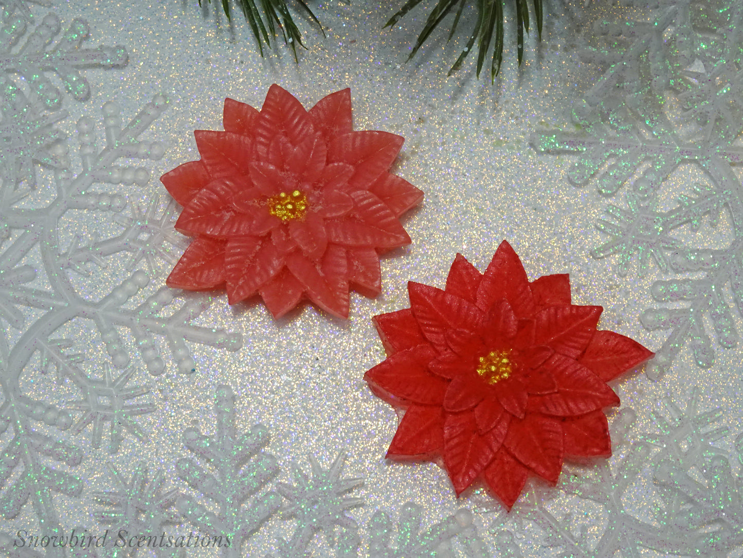 Christmas Poinsettia (Solid or Painted)