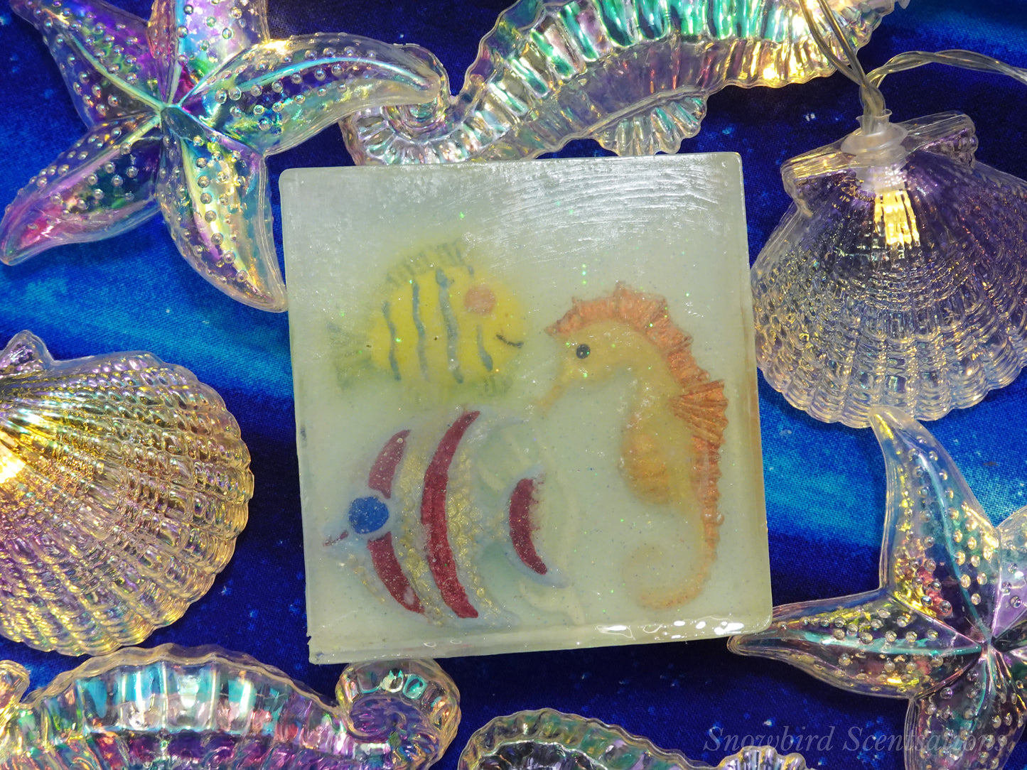 Ocean Embed: Seahorse & Fish