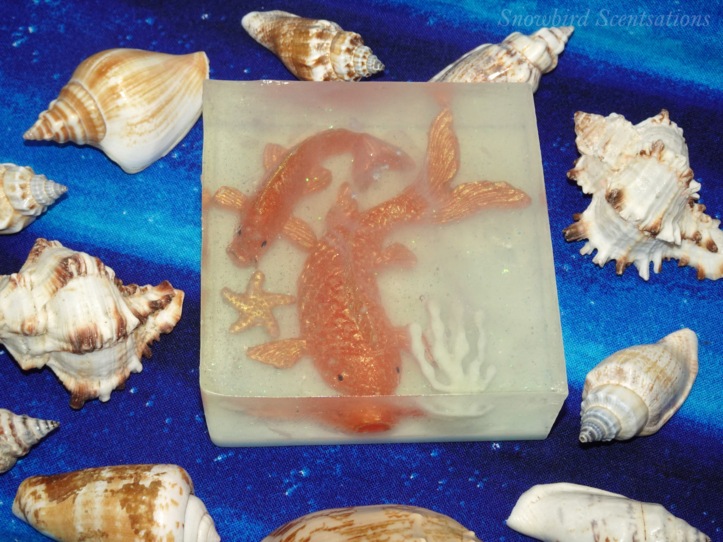 Ocean Embed: Koi Fish