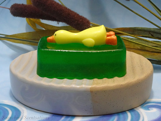 Lying Duck on Soap Bar