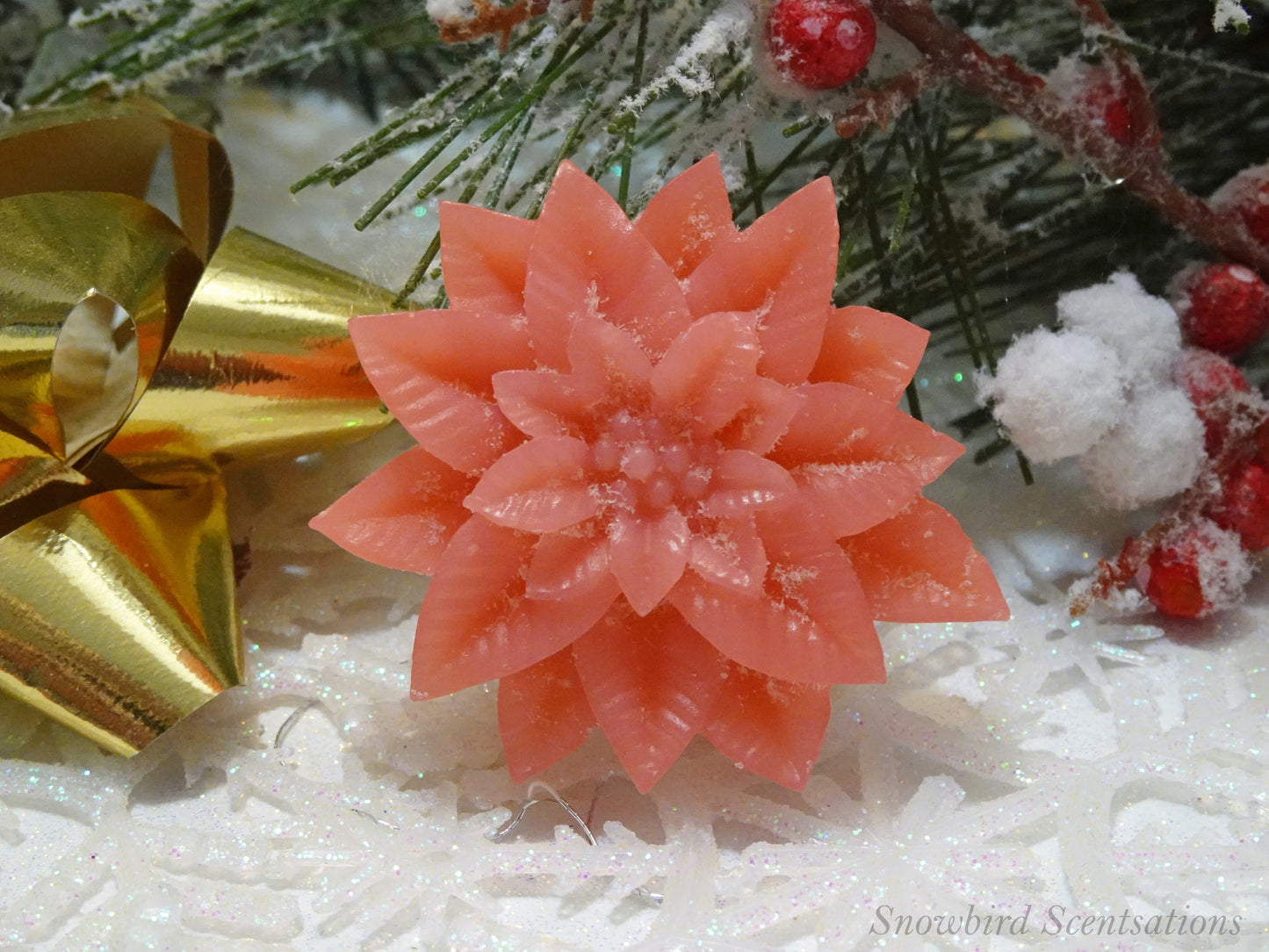 Christmas Poinsettia (Solid or Painted)