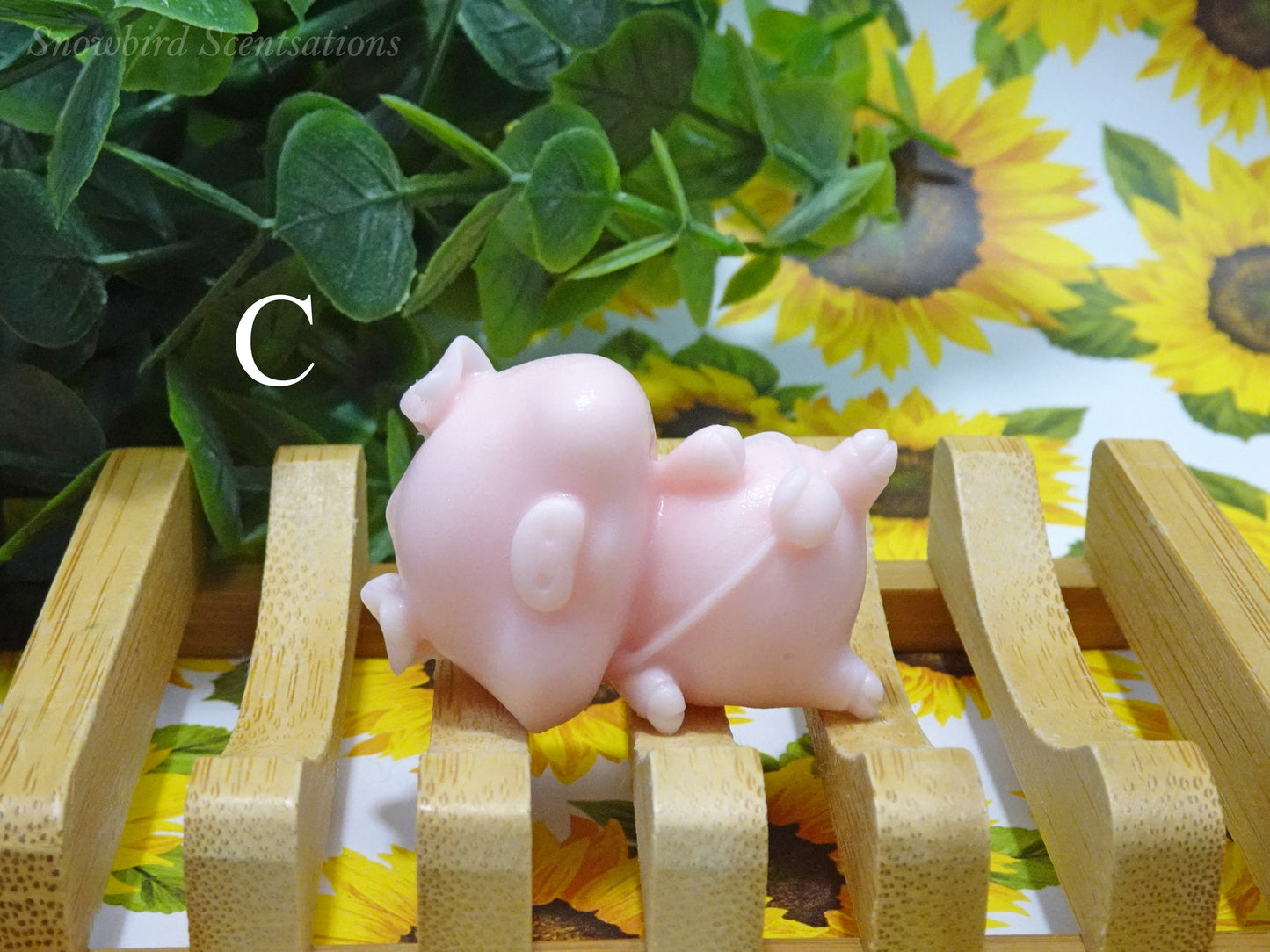 Pig with Purse Soap - Assortment of 4 (Solid)