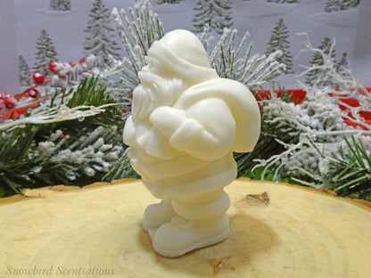 Santa with Bag on His Back (Solid or Painted)