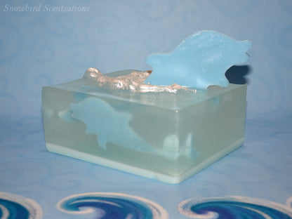 Ocean Embed: Dolphins