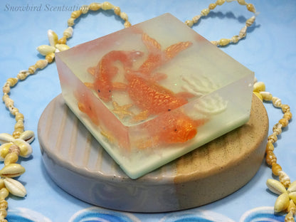 Ocean Embed: Koi Fish