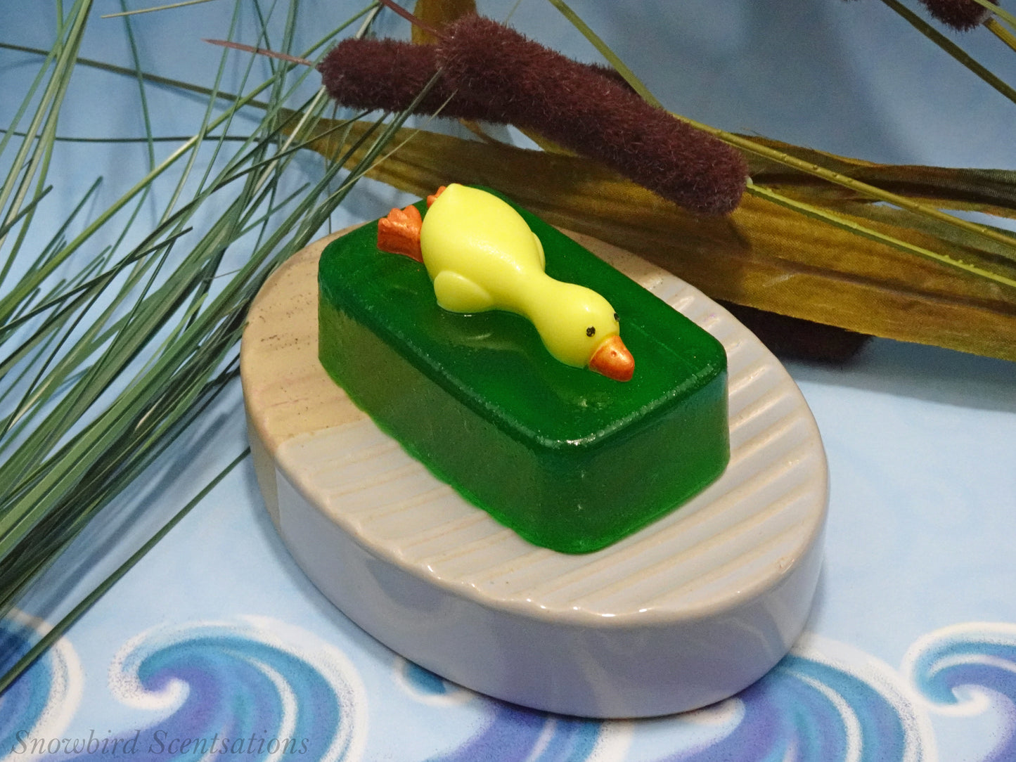 Lying Duck on Soap Bar