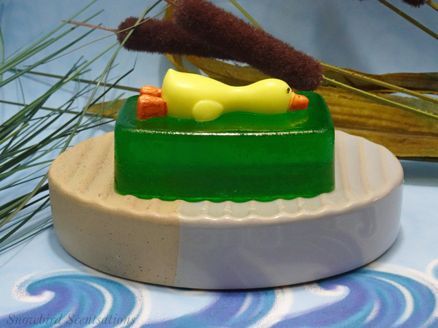 Lying Duck on Soap Bar