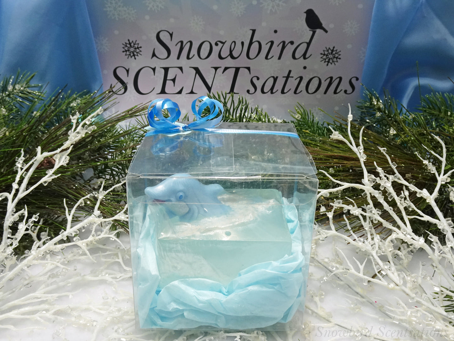 Ocean Embed: Dolphins