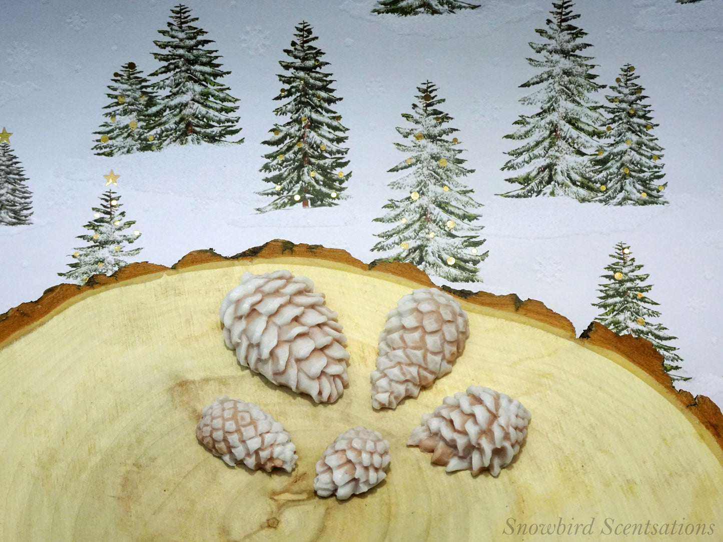 Small Pinecones - Set of 5 (Solid or "Snow Covered")