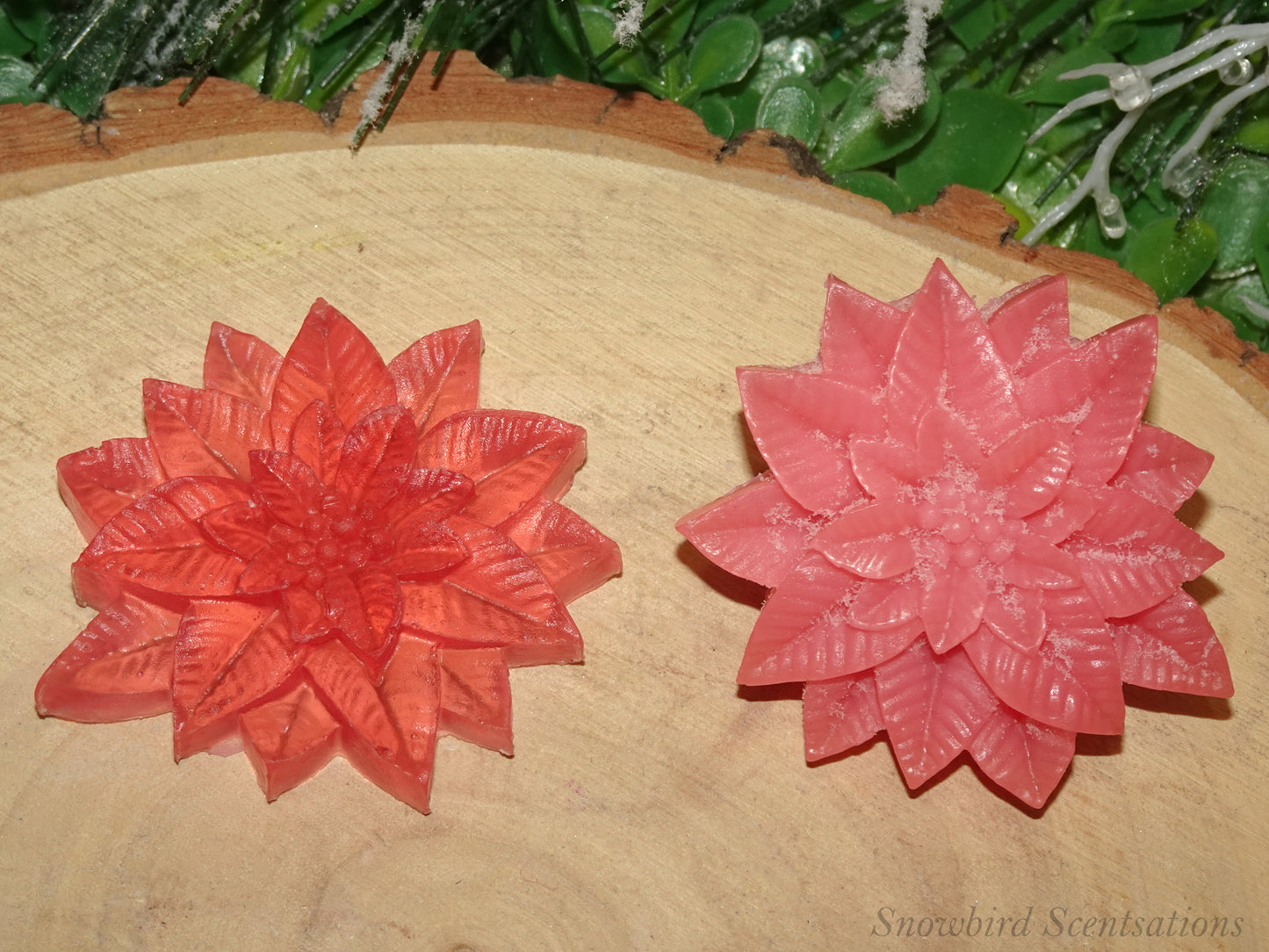 Christmas Poinsettia (Solid or Painted)