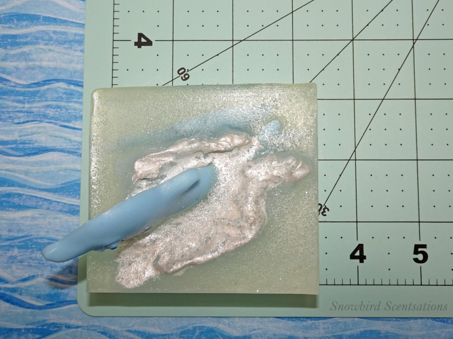 Ocean Embed: Dolphins