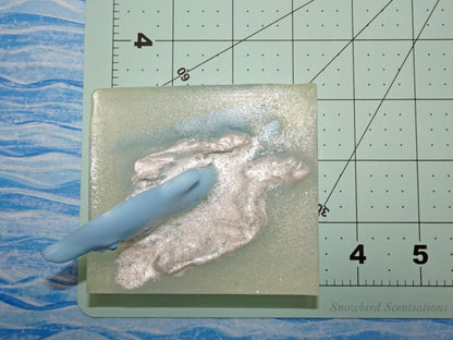 Ocean Embed: Dolphins