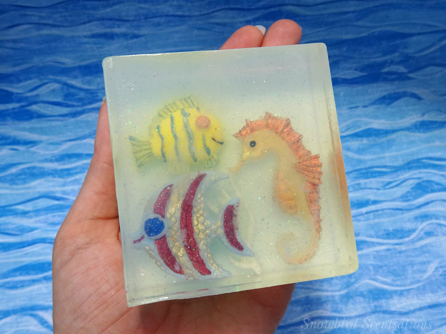 Ocean Embed: Seahorse & Fish