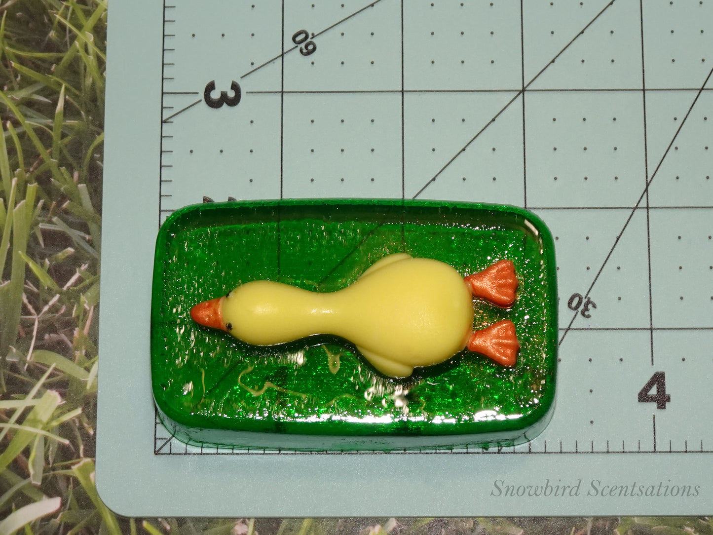 Lying Duck on Soap Bar