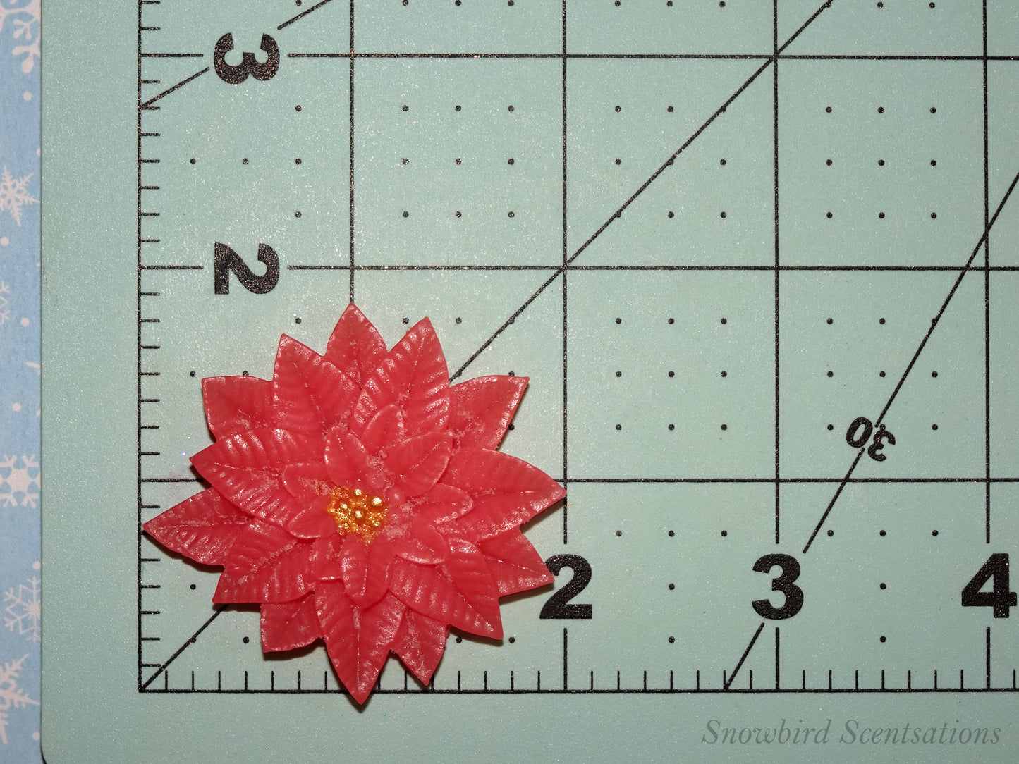 Christmas Poinsettia (Solid or Painted)