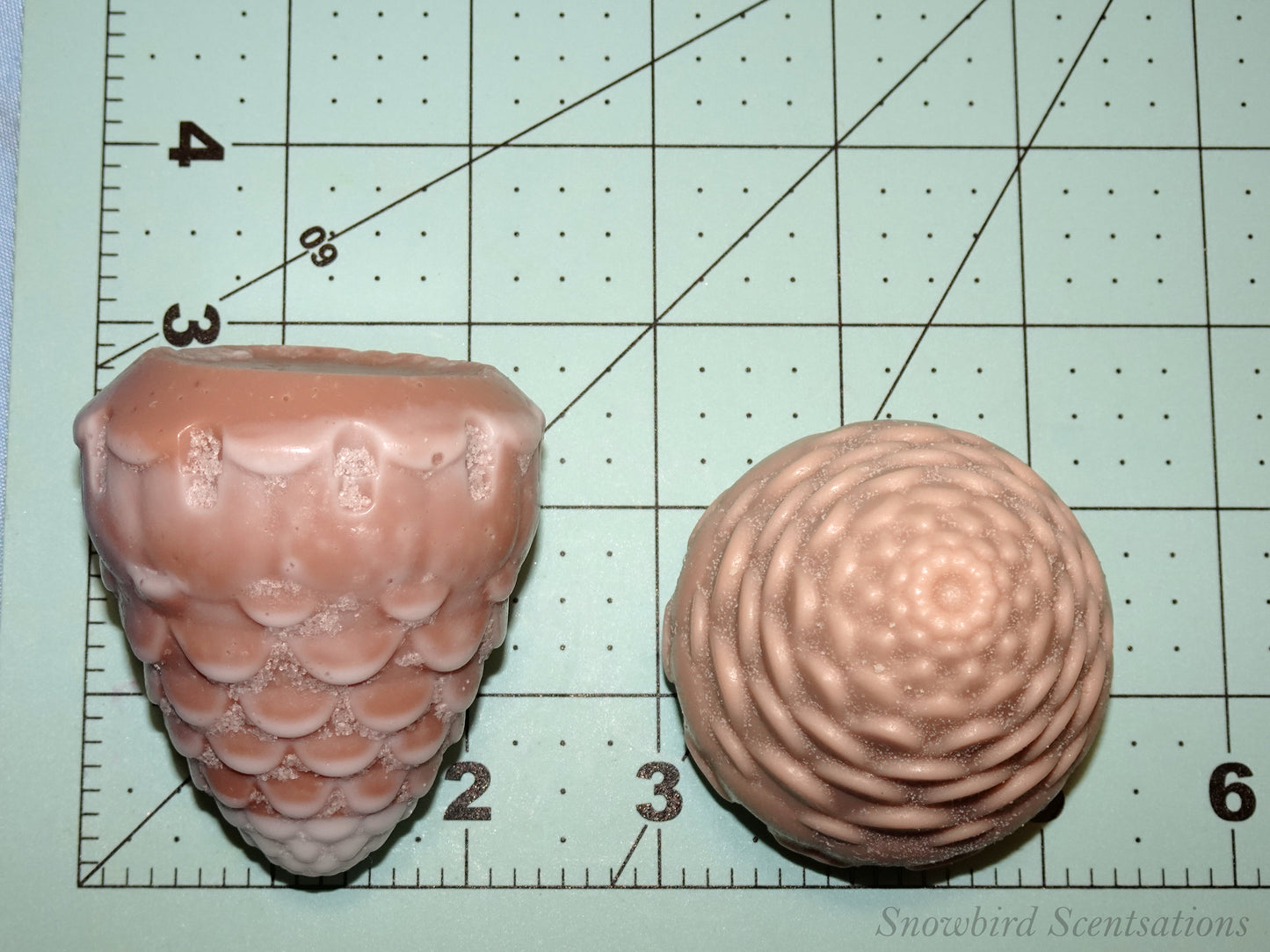 Pinecone (Solid, "Snow Covered", or Painted)