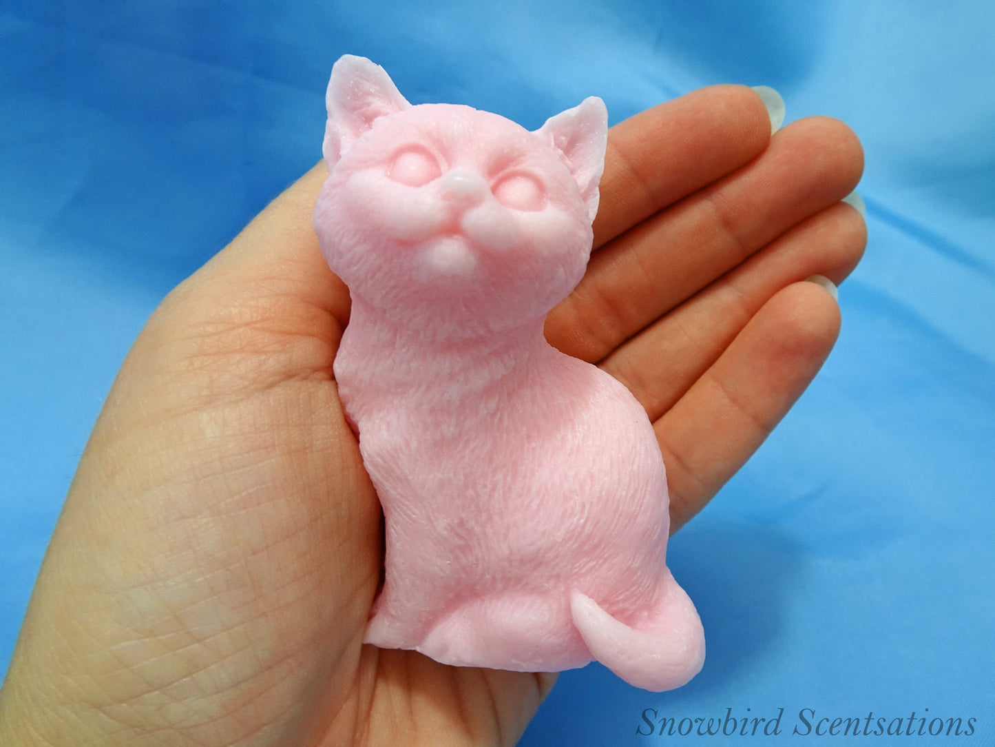 Sitting Cat (Solid)