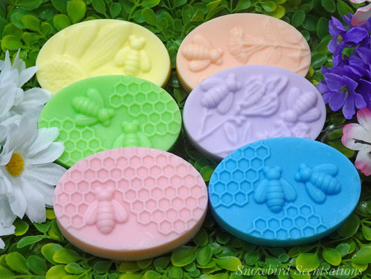 Bee Oval Bar - Assortment of 6 (Solid)