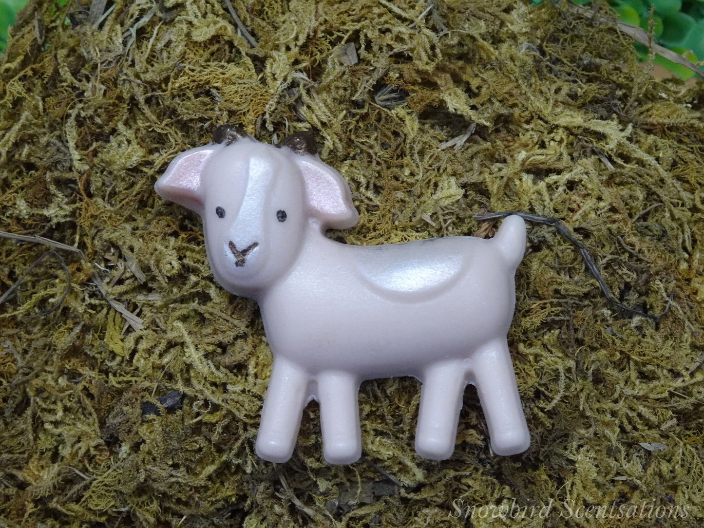 Farm: Goat (Solid or Painted)