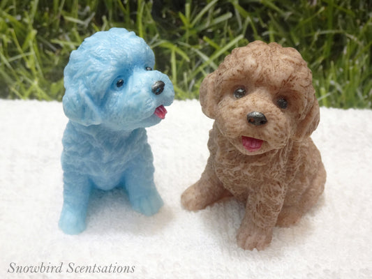 Teddy Bear Dog (Solid or Painted)