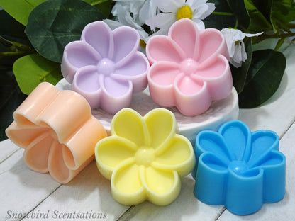 Daisy C (Painted or Solid)