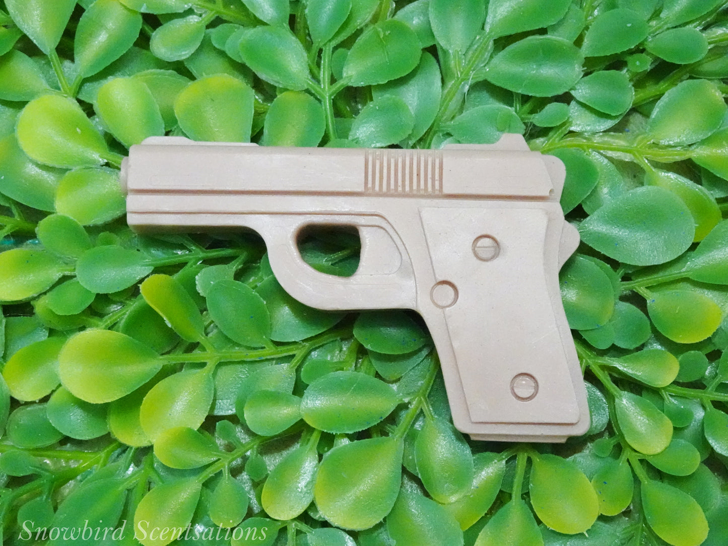 Pistol