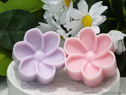 Daisy C (Painted or Solid)
