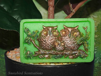 Owl Family (Solid or Painted)